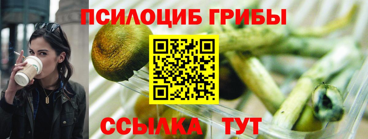Галлюциногенные грибы мицелий  Вход с VPN  Касимов 